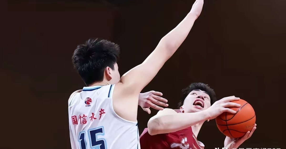 浙江队逆转辽宁队,王哲林关键制胜 浙江队逆转辽宁队,王哲林关键制胜