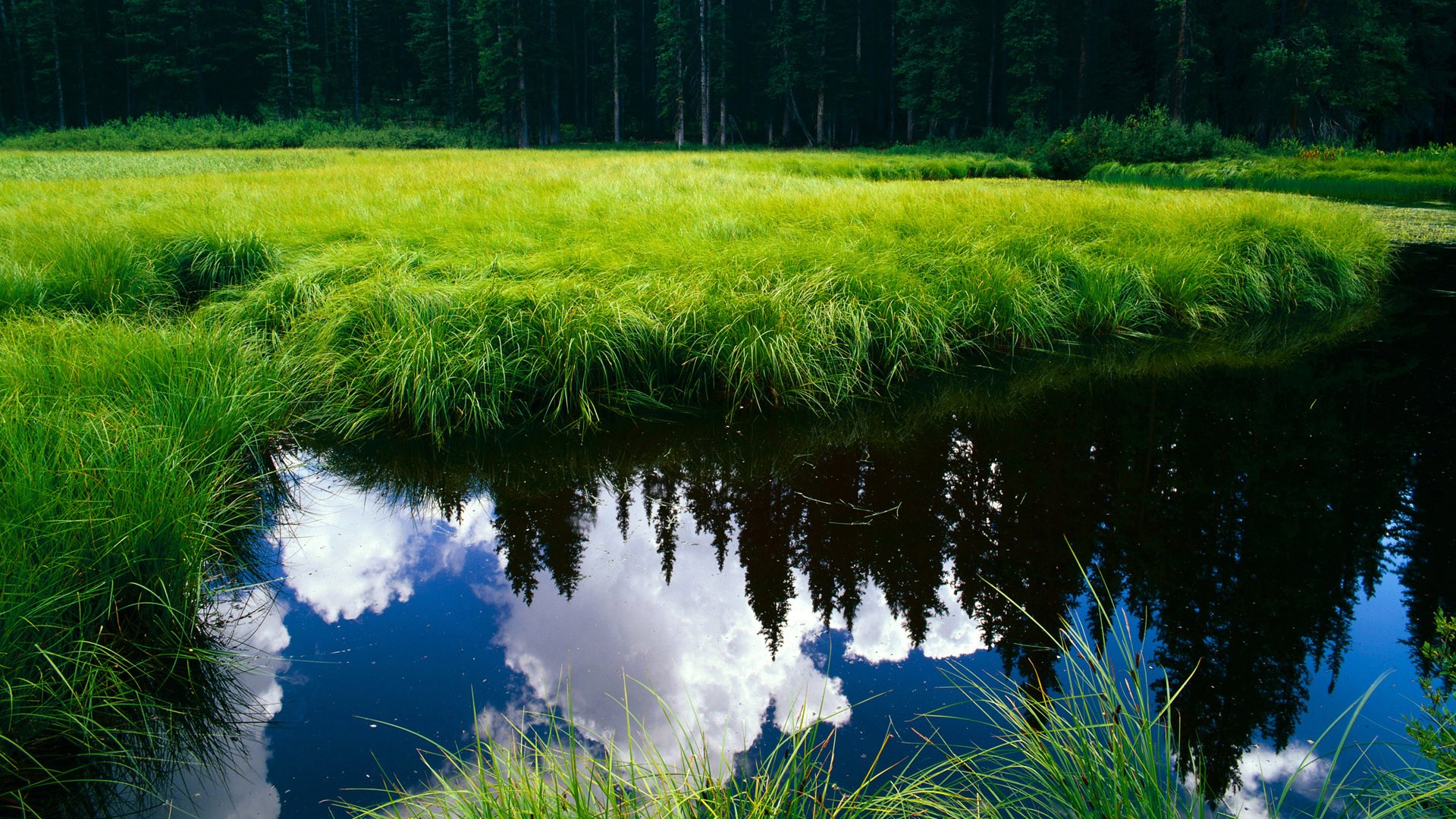 绝地反击,阿隆索最后三圈的魔法如何改写索伯与威廉姆斯的十年恩怨