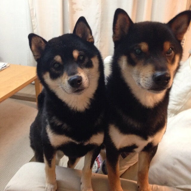 东南亚德比惊现碾压局！印尼五环锋芒破马，马琳创纪录宣示欧洲力量