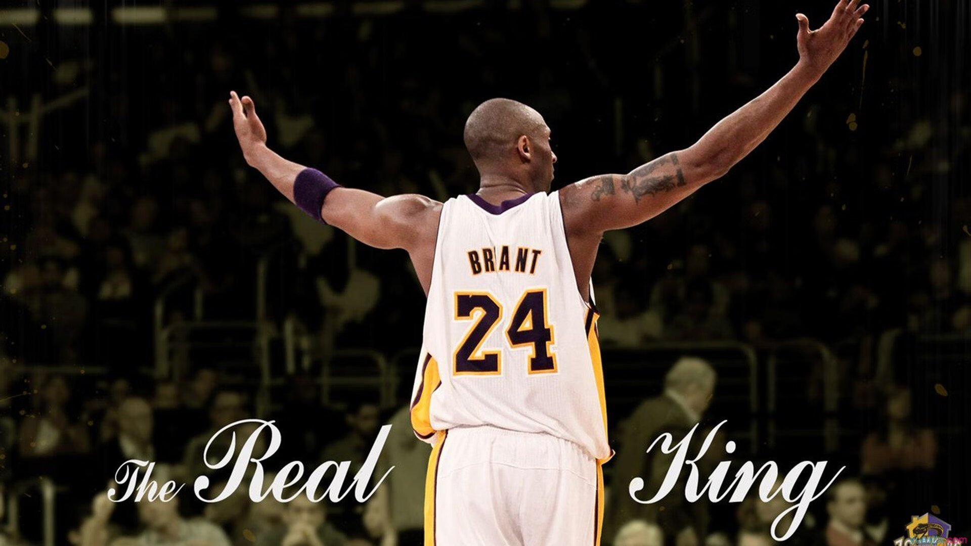 双线荣耀，联合杯力克美网，纳达尔倾尽所有的高光铭刻