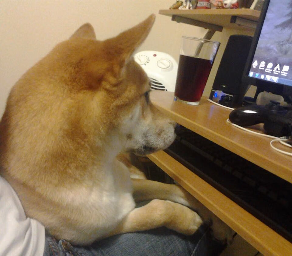 巨星的孤独与团队的重压，当布伦森的极致个人英雄主义撞上公牛的铜墙铁壁