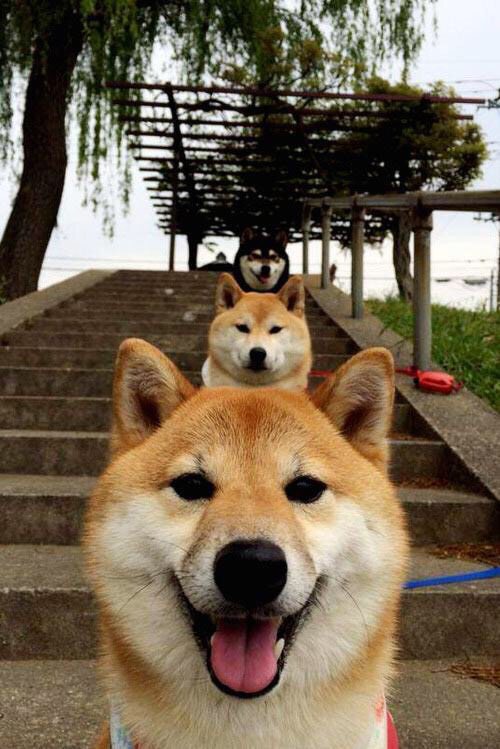 布伦森的双重证明，对阵篮网雷霆的隐秘对话