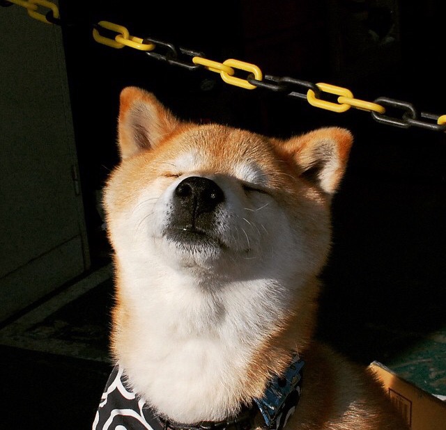 两场横跨时空的防守教学，罗马锁死瑞士，巴斯托尼在西决生死战接管比赛