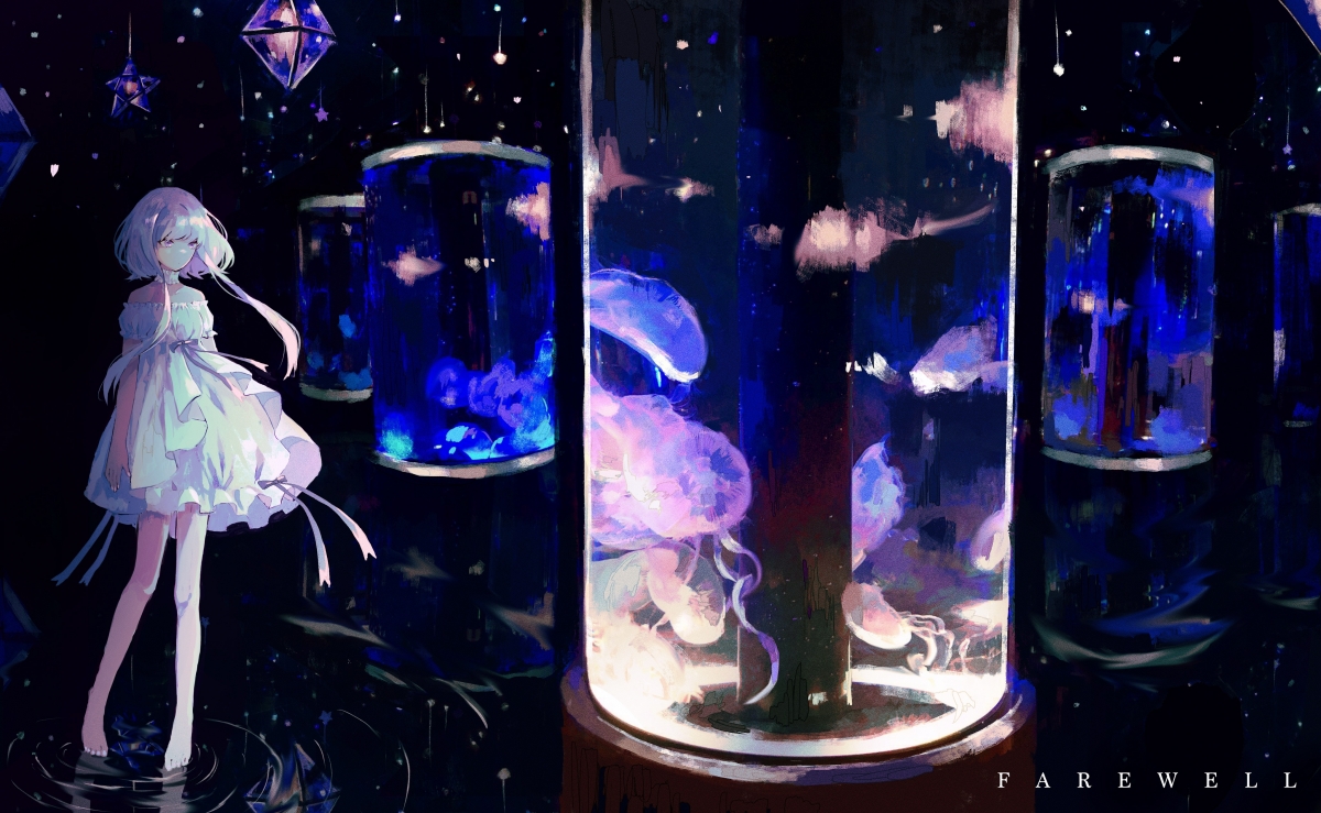 星空与风暴,当东契奇接管年度焦点之战