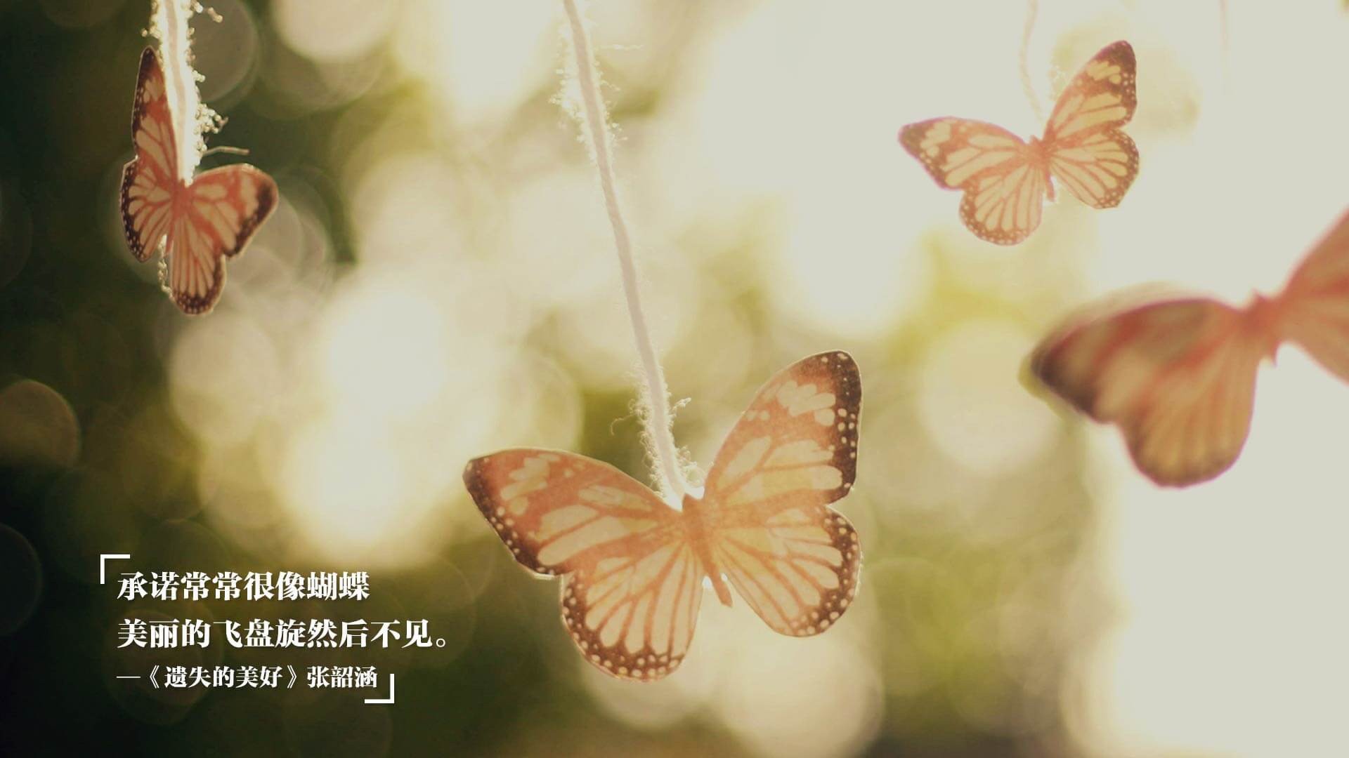 单点璀璨与整体熄火，当浓眉宇宙撞上独行侠的体系铁壁