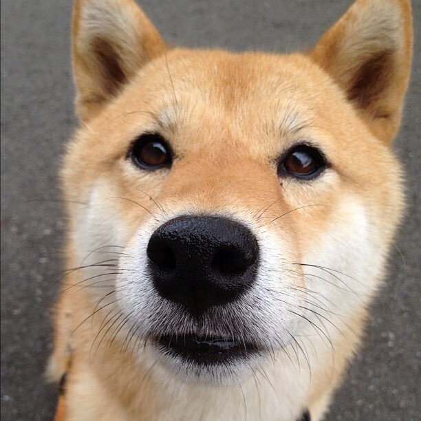 铁幕与神迹,当一个人成为一座城池的意志