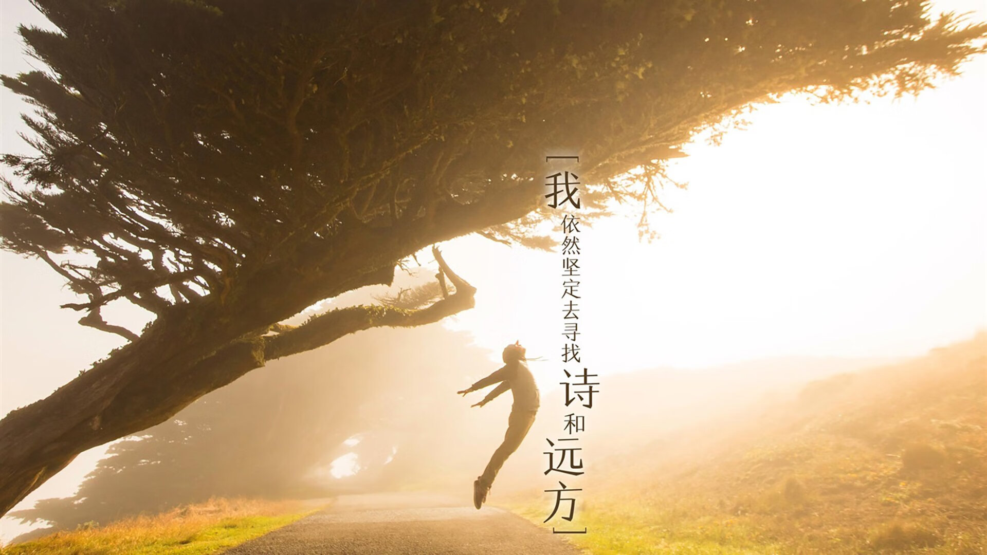 火线涅槃,2026世界杯A组关键战,印度横扫罗马尼亚,努涅斯带队取胜书写新传奇