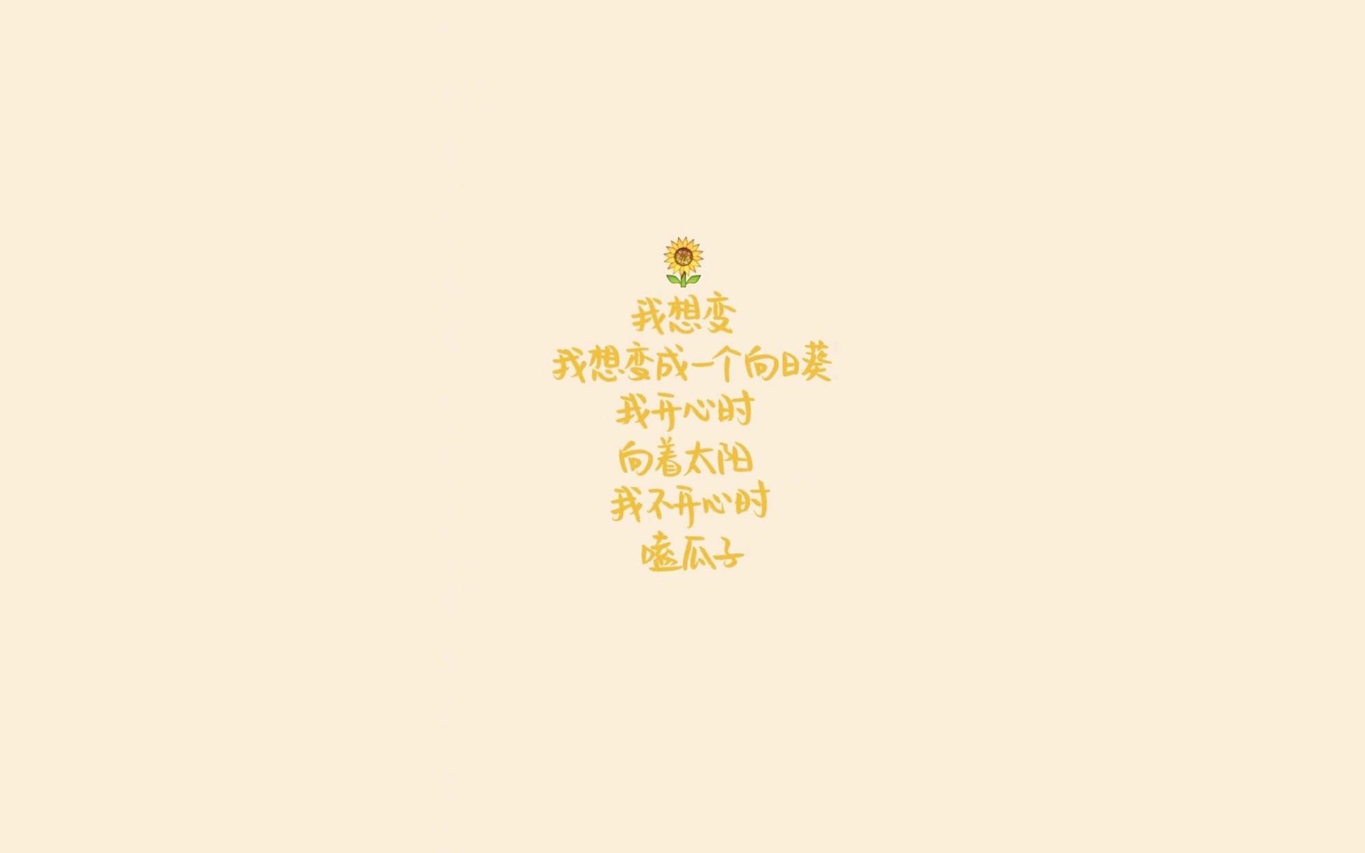 沙漠之鹰的致命一喙,伊朗如何用控球权改写2026世界杯B组剧本