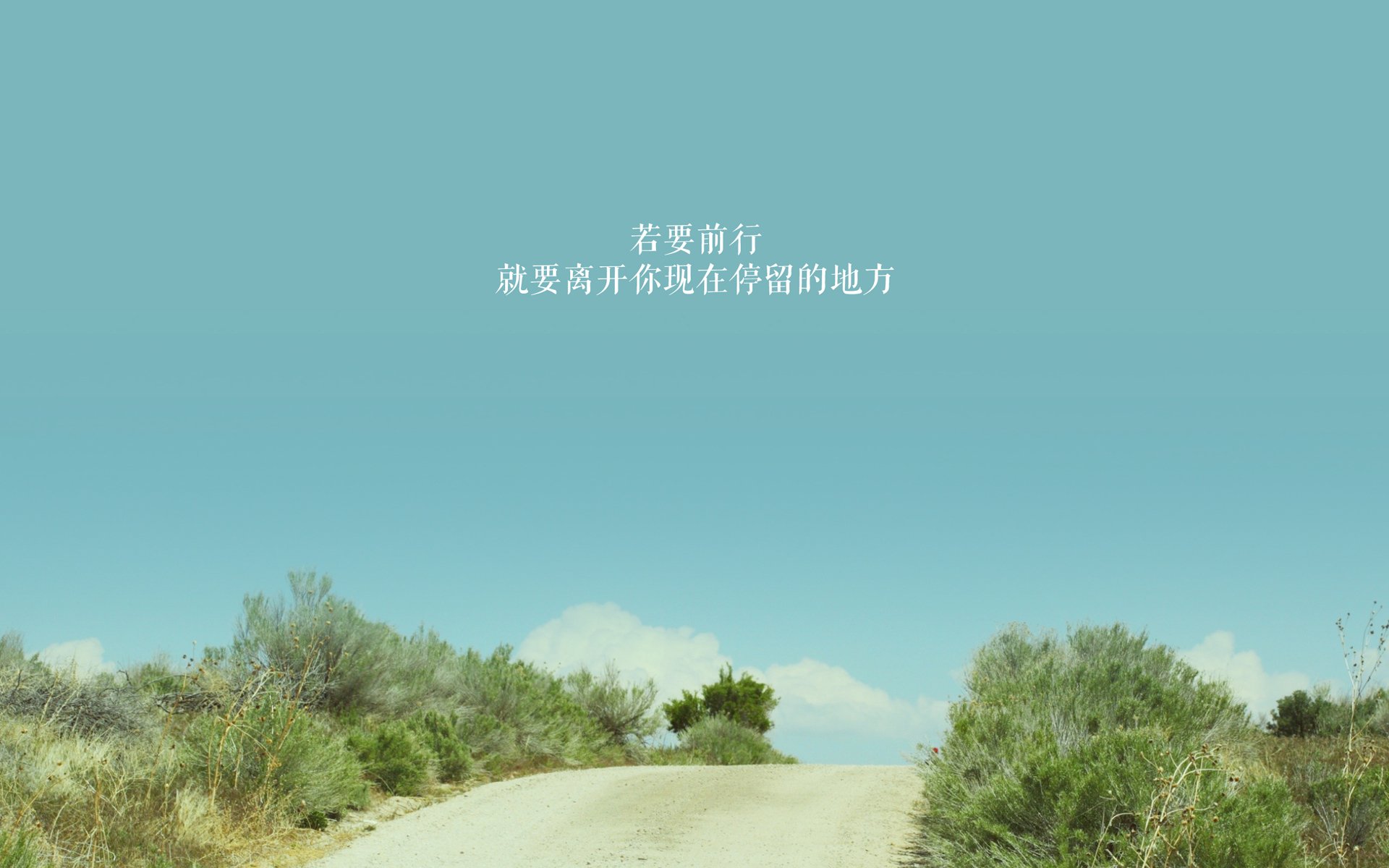 命运之夜的孤星，2026世界杯D组，葡萄牙绝杀罗马尼亚，齐耶赫用一己之力定义进攻的哲学
